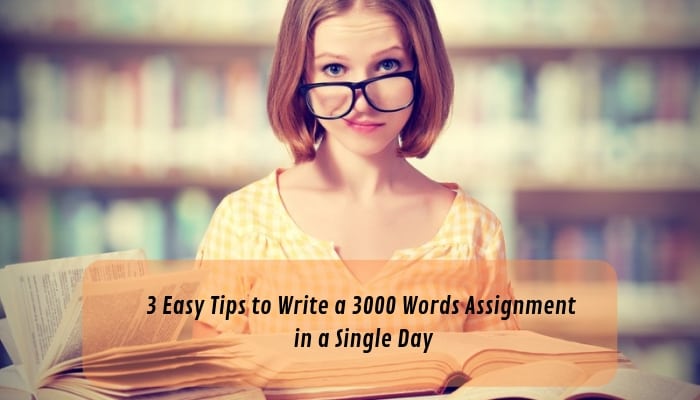 3 Easy Tips to Write a 3000 Words Assignment in a Single Day